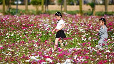 مشرعون صينيون يقدمون 473 اقتراحا إلى الدورة التشريعية السنوية