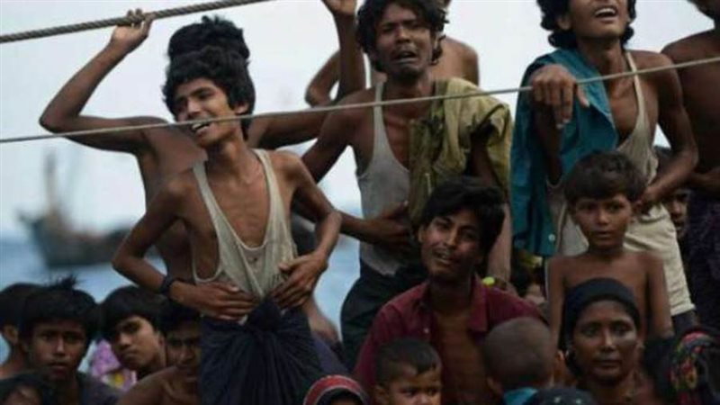 بوابة روز اليوسف