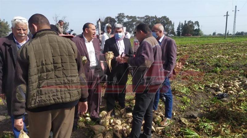 وكيل وزارة التضامن