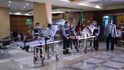 وزيرة الصحة: استقبال أول مجموعة من مصابي الثورة السودانية لاستكمال علاجهم بمصر