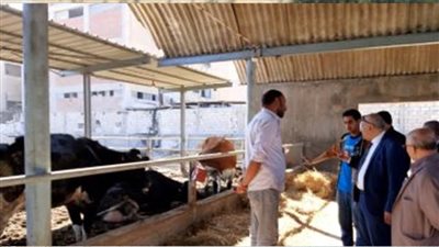 المنوفية: الموافقة علي ترخيص 54 مزرعة دواجن و52 مزرعة للماشية