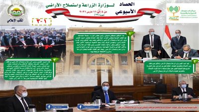 بالانفوجراف والفيديو.. 