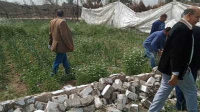 إزالة 12 حالة تعدٍ الأراضي الزراعية بالبحيرة