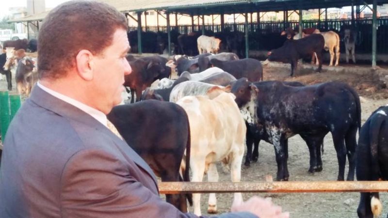 مشروع البتلو