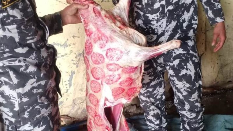 لحوم ذبح خارج السلخانة