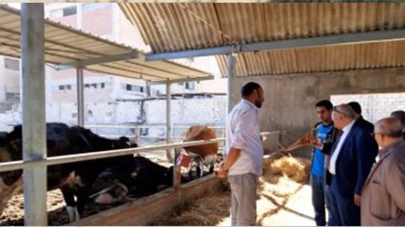 مزرعة للماشية