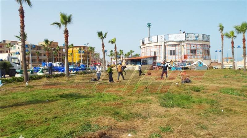 مدينة بلطيم