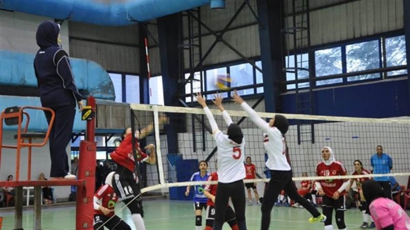 دوري سيدات الطائرة