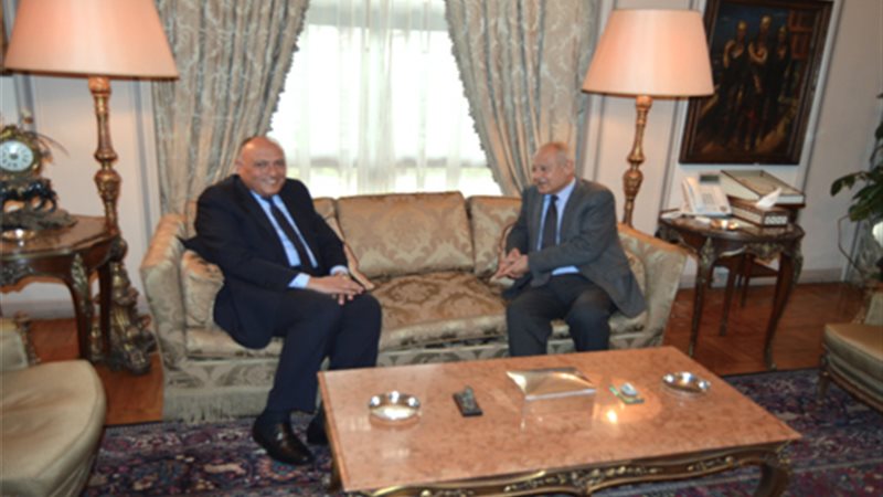 أبو الغيط يستقبل