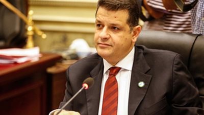 وكيل خارجية النواب: قرار إيطاليا بوقف تصدير قطع غيار