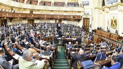 برلماني: ملف حقوق الإنسان أصبح فزاعة لتشويه صورة الدولة لصالح جماعات إرهابية