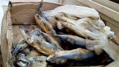 ضبط ١٥٠ كيلوجراما أسماك منتهية الصلاحية بالإسماعيلية 