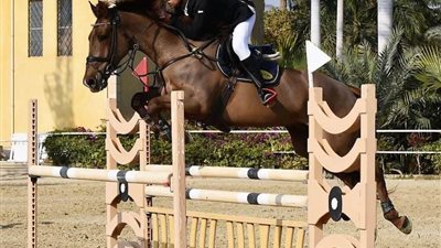 فروسية سموحه تواصل تألقها فى منافسات الجمهورية