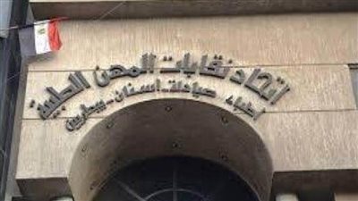 اتحاد نقابات المهن الطبية يدين بيان حقوق الإنسان