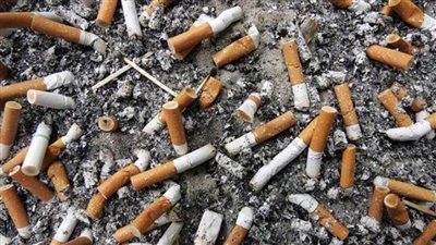 الصحة العالمية: الحياة في 