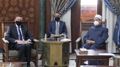شيخ الأزهر: قلقون من تصاعد الأنشطة العدائية لليمين المتطرف في الغرب