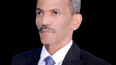 عضو بالشيوخ: بيان حقوق الإنسان الدولي تجاهل إنجازات الدولة المصرية