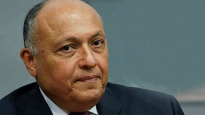 شكري يعقد غدا مباحثات مع وزير خارجية غينيا كوناكرى