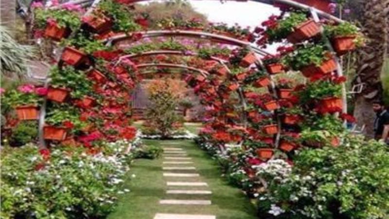 معرض زهور الربيع