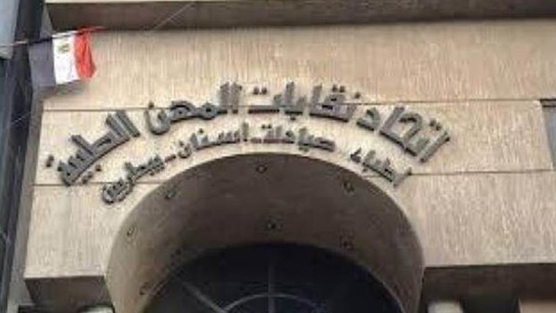 اتحاد نقابات المهن