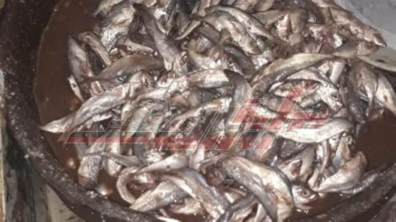 أسماك منتهية الصلاحية