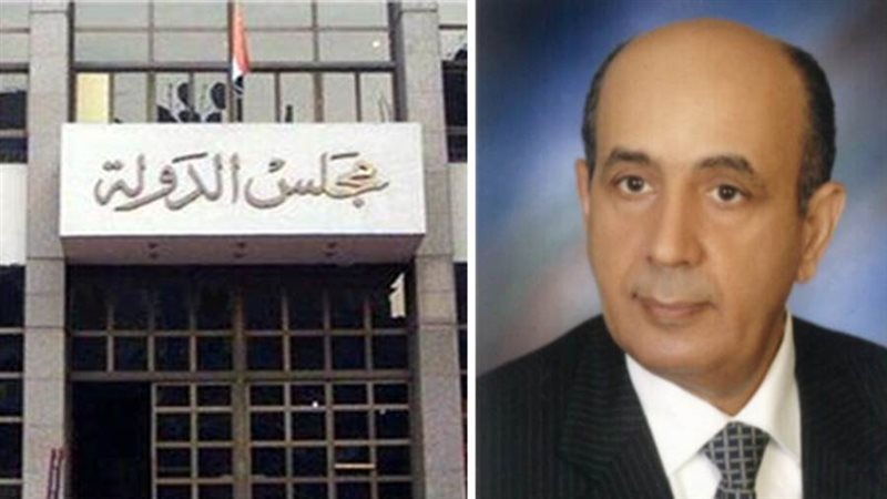 المستشار محمد محمود