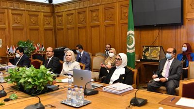 هالة زايد: جائحة كورونا أبرزت التضامن الإنساني بين الدول العربية