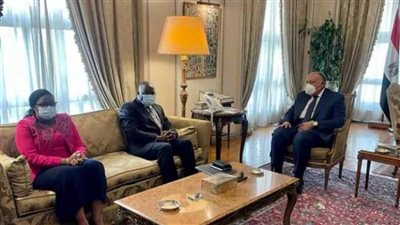 شكرى ووزير خارجية غينيا كوناكري يؤكدان أهمية حصول إفريقيا على لقاحات كورونا