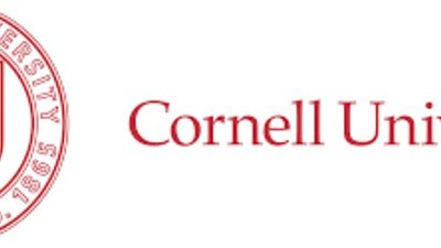 بحث: الطبيبات البيطريات يربحن أقل من الرجال بنحو 100 ألف دولار سنويا