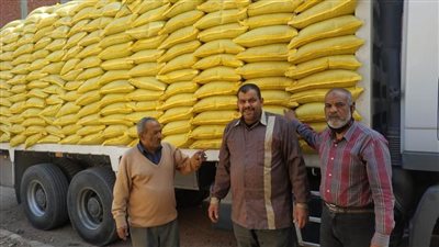 وصول الدفعة الأولي من تقاوي القطن للإدارة الزراعية بالقنطرة غرب الإسماعيلية 