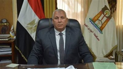 محافظ الوادى الجديد: مشروع 