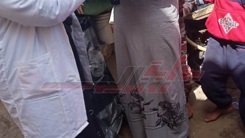 حملات التحصين