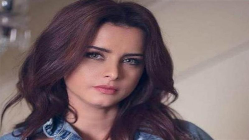 الفنانة نور