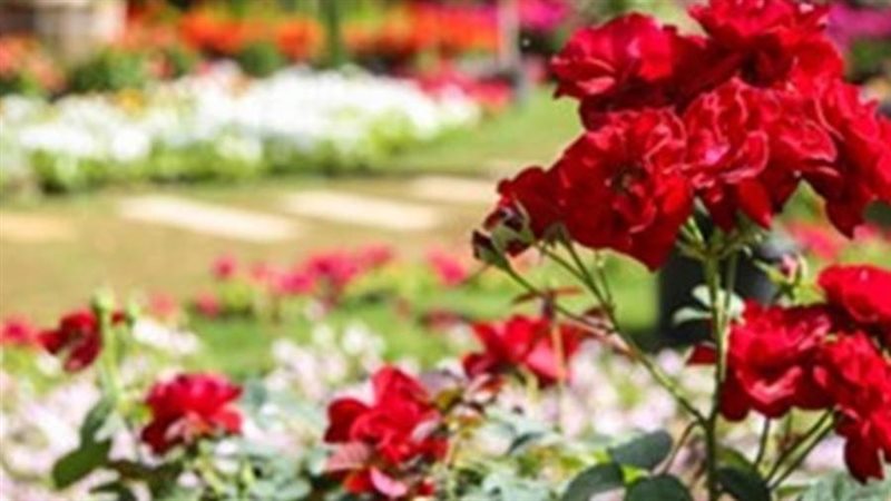 الاعتدال الربيعي