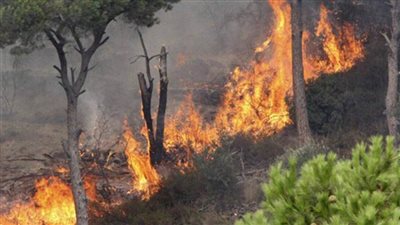 السيطرة على حريق بمزرعة موز في الصالحية الجديدة 