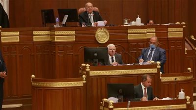 مجلس الشيوخ يوافق نهائيا على مشروع قانون إنشاء هيئة ضمان جودة التعليم الفني