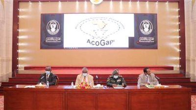 مجلس السيادة السوداني: الانتشار غير المشروع للأسلحة المهدد الأكبر للسلم