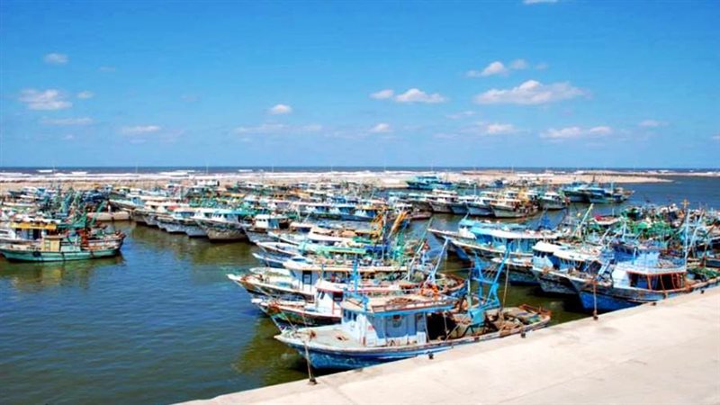 ميناء البرلس