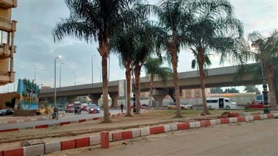 استمرار سوء أحوال الطقس ورياح شديدة بمدن البحيرة