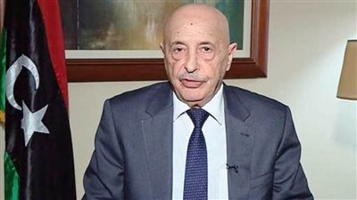 رئيس مجلس النواب الليبي يدعو للحفاظ على التعاون بين ليبيا وإيطاليا