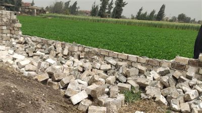 إزالة 6 حالات تعدٍ على الأراضى الزراعية بالبحيرة (صور)