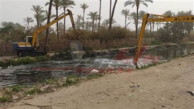 حملات مكبرة لرفع القمامة وتطهير الترع بكفر الشيخ