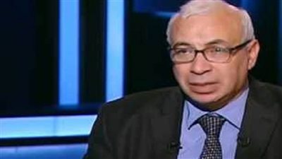 علي حسن : الرئيس السيسي جعل من دعم المرأه محوراً اساسياً في خطة التنمية الشاملة