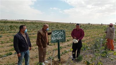 استرداد 142 فدانا أملاك دولة بوادى النطرون 