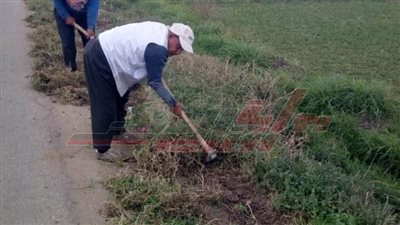 محافظ كفر الشيخ يوجه بإزالة الحشائش حول تجمعات الطرق بكفر الشيخ