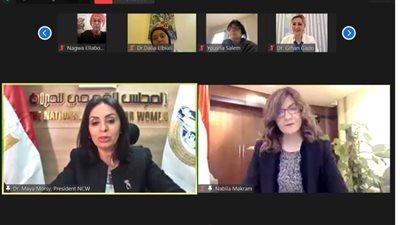 السفيرة نبيلة مكرم تشيد بجهود الدولة في تعويم السفينة الجانحة بقناة السويس