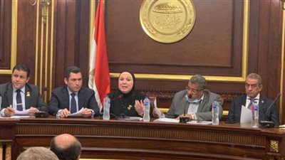 نيفين جامع أمام النواب: الانتهاء من لائحة قانون هيئة التنمية الصناعية نهاية إبريل المقبل