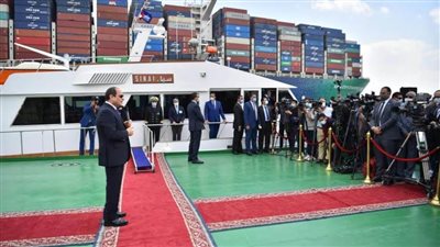  مرثا محروس: حديث الرئيس السيسي أثلج صدور أبناء مصر المخلصين