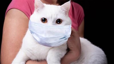 روسيا تسجل أول لقاح في العالم للحيوانات ضد فيروس كورونا