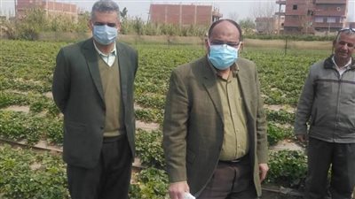 جامعة بنها تنظم قافلة زراعية بقرية الدير بطوخ